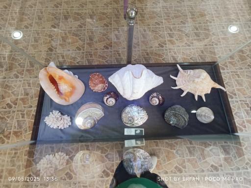 عکس موزه صدف اصفهان