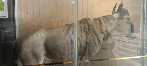 عکس موزه صدف اصفهان