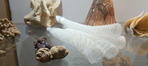 عکس موزه صدف اصفهان