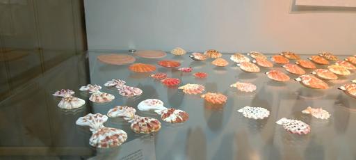 عکس موزه صدف اصفهان