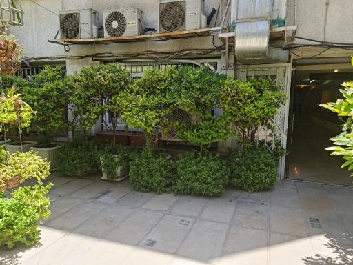 عکس فیزیوتراپی شریعتی