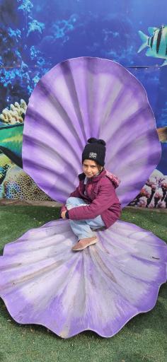 عکس موزه صدف اصفهان