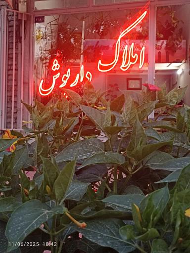 عکس کارگزاری املاک داریوش 