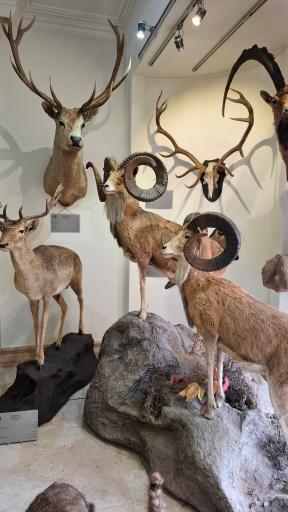 عکس هیومن پارک