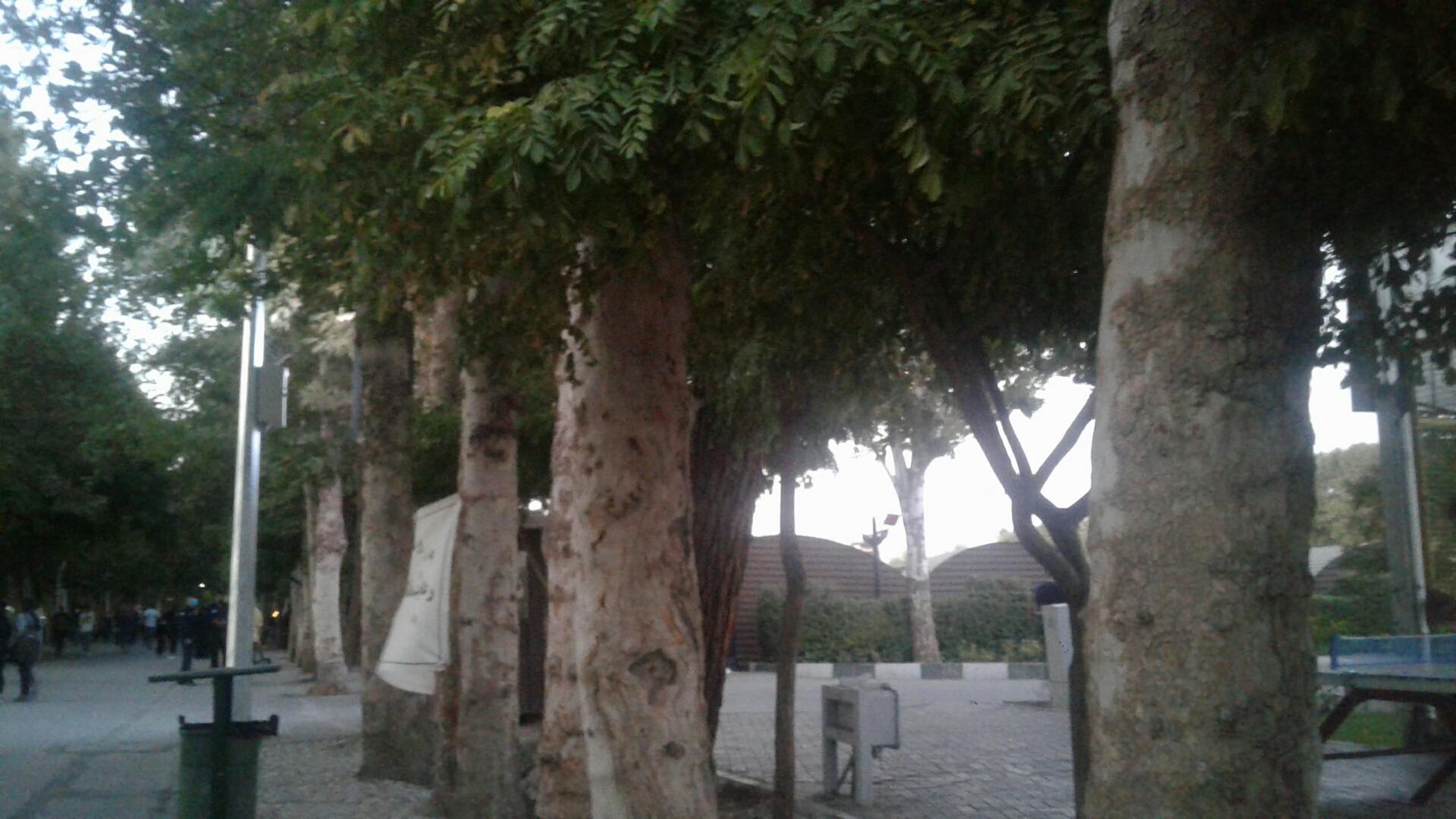 عکس پارک بانوان ملت