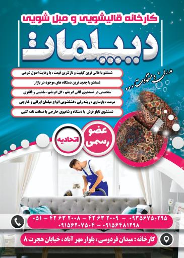 قالیشویی دیپلمات نصرآبادی 
