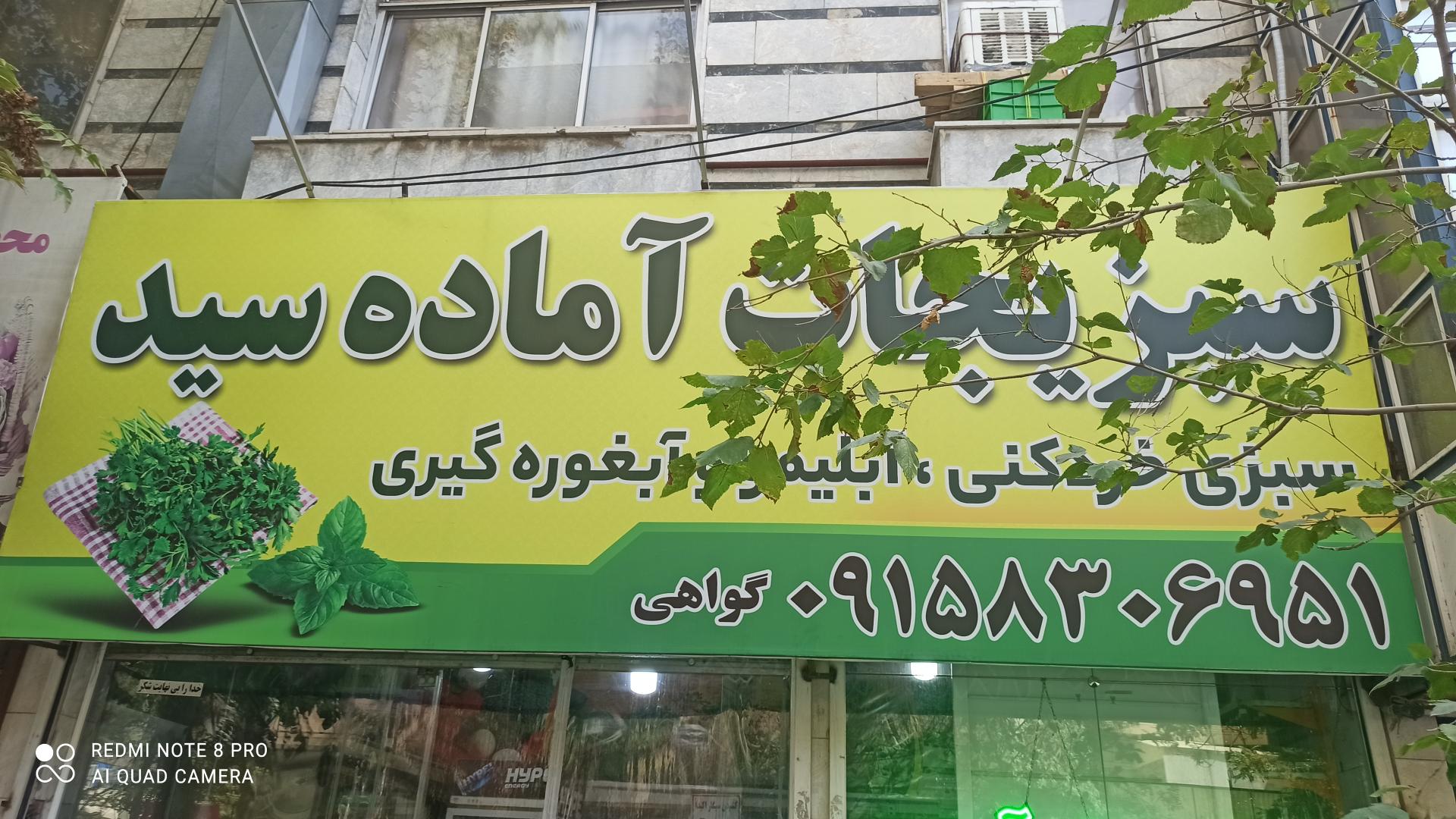 عکس سبزیجات آماده سید 