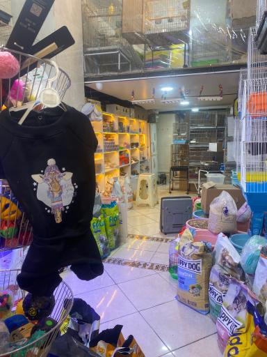 عکس باغ پرندگان