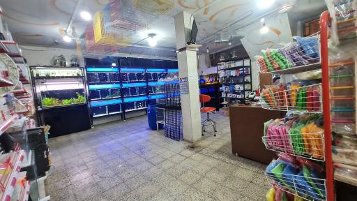 عکس فروشگاه لوازم پرنده و آکواریوم سیمرغ