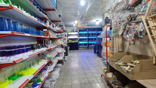 فروشگاه لوازم پرنده و آکواریوم سیمرغ