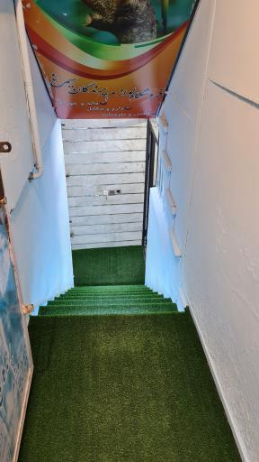 فروشگاه لوازم پرنده و آکواریوم سیمرغ