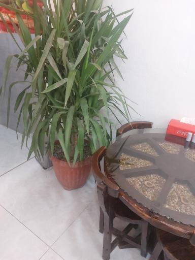 عکس فست فود ژاوا