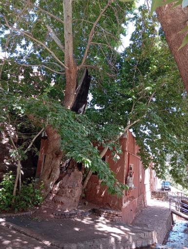 عکس ابیانه
