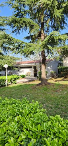 عکس سرویس بهداشتی مردانه