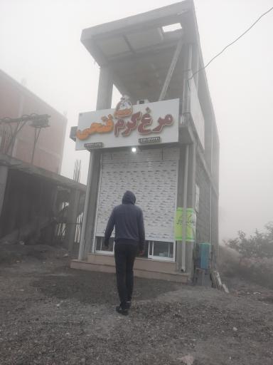 عکس مرغ گرم فتحی