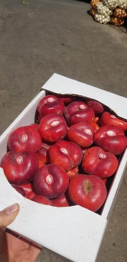 عکس بار فروشی علی حاتمیان