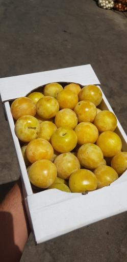 عکس بار فروشی علی حاتمیان