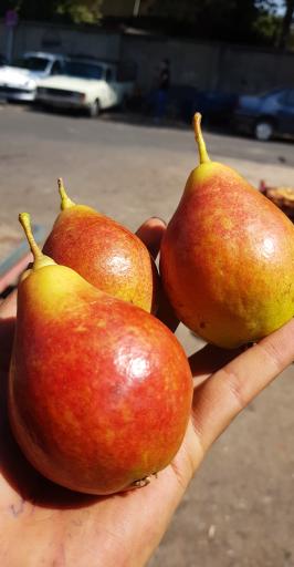 عکس بار فروشی علی حاتمیان