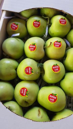 عکس بار فروشی علی حاتمیان