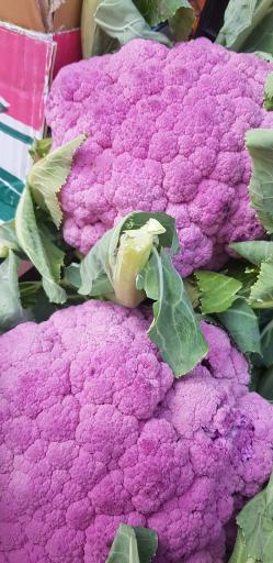 عکس بار فروشی علی حاتمیان