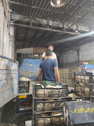 عکس حجره 103 برادران محمدی