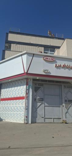 عکس مدیران خودرو ترابی