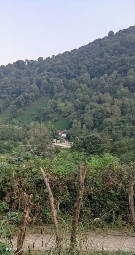 عکس گشت رودخان