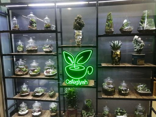 عکس کافه گیاه