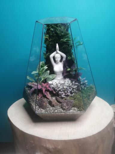 عکس کافه گیاه