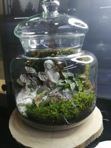 عکس کافه گیاه