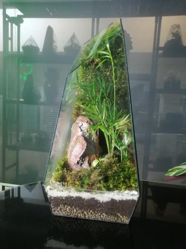 عکس کافه گیاه