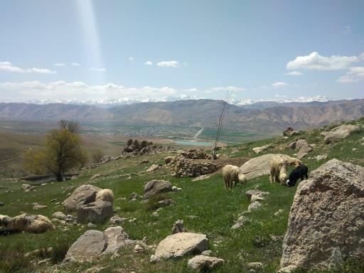 عکس سد گهرو