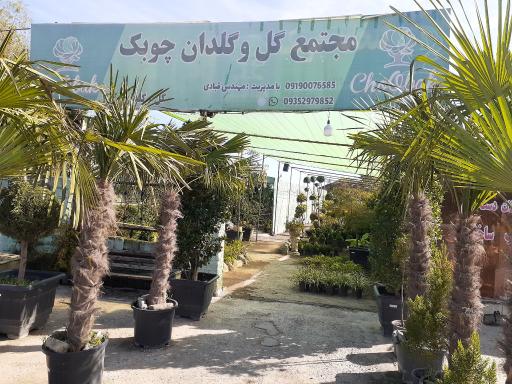 عکس مجتمع گل و گلدان چوبک