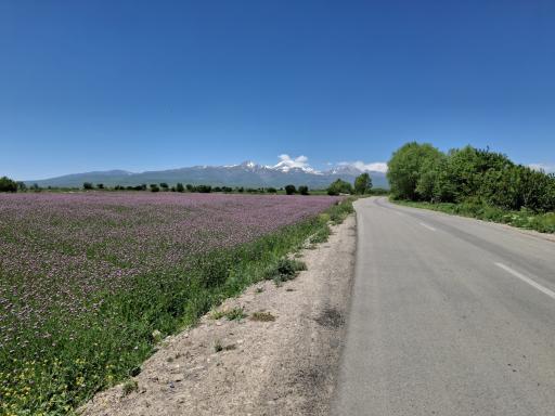 عکس قلعه جوق سبلان