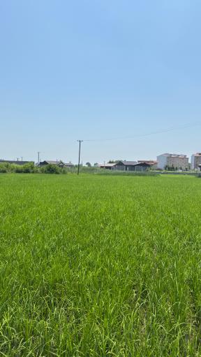 عکس خشکبیجار