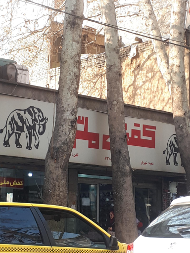 عکس کفش ملی