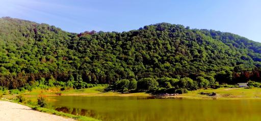 گرجی محله