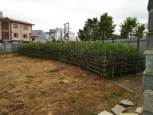 عکس خشکبیجار