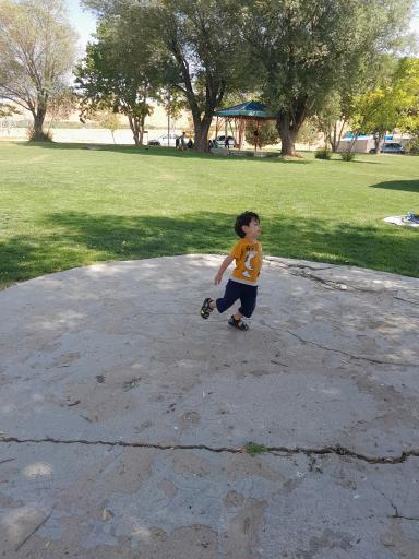 عکس پارک جنگلی بویین