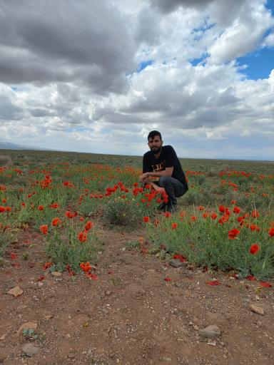 عکس بوئین زهرا