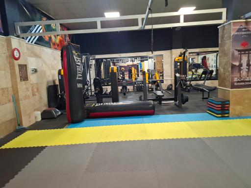 عکس باشگاه بوکس و بدنسازی کیا 