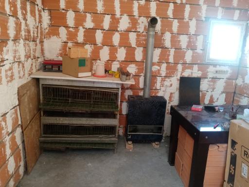 عکس جوجه کشی سلطانی 