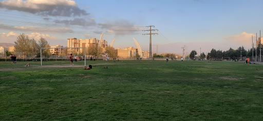 عکس زمین ورزشی شقایق