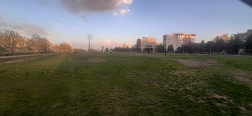 عکس زمین ورزشی شقایق