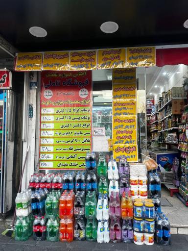 پروتئین تاملی شعبه دوم