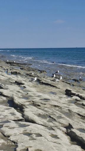 عکس ساحل جاسک