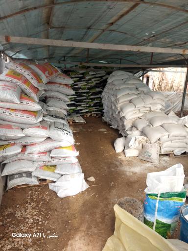 خدمات کشاورزی دکتر امید رحمانی(مؤسسه انگوروکشمش ایران)