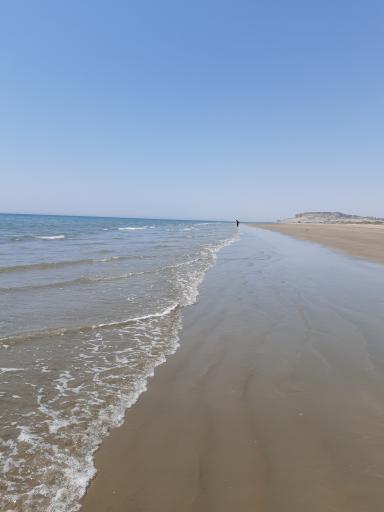 عکس ساحل جاسک