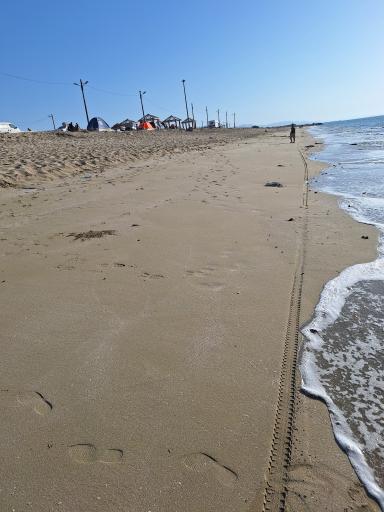 عکس ساحل جاسک