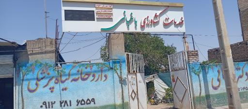 عکس خدمات کشاورزی دکتر امید رحمانی(مؤسسه انگوروکشمش ایران)